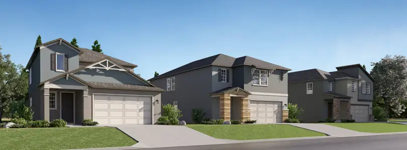 Two Rivers: The Manors by Lennar in Zephyrhills - photo 0