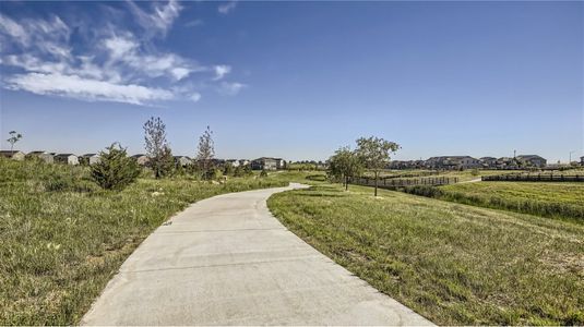 Willow Bend: The Grand Collection 21