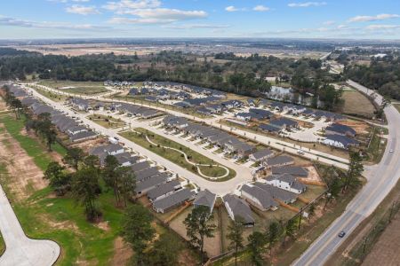 Sorella by M/I Homes in Tomball - photo 21 21