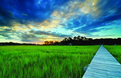 Wando Village by John Wieland in Charleston - photo 14 14