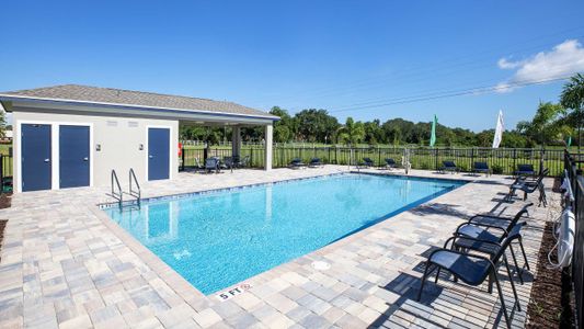 Oak Creek Preserve by Maronda Homes in Lakeland - photo 7 7