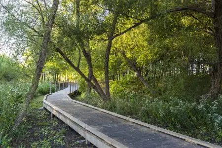 Garden Collection at Union Park by Tri Pointe Homes in Little Elm - photo 11 11