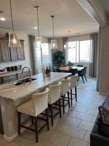 Eminence at Alamar by William Ryan Homes in Avondale - photo 82 82