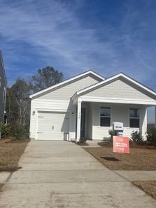 Sheep Island by D.R. Horton in Summerville - photo 38 38