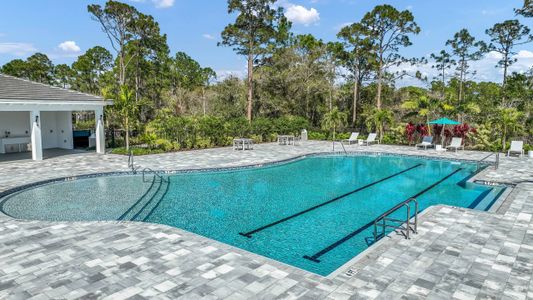 Cove Royale by Kolter Homes in Stuart - photo 39 39