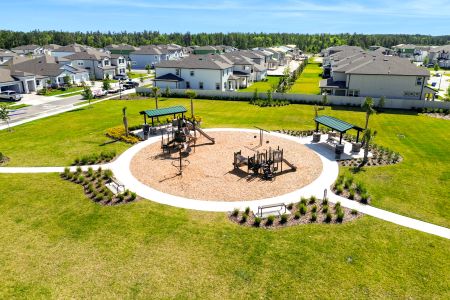 Whispering Oaks Preserve by M/I Homes in Wesley Chapel - photo 13 13