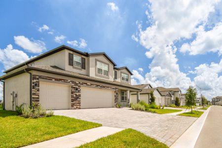 Epperson by M/I Homes in Wesley Chapel - photo 59 59