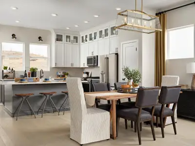 Trailside at Cottonwood Creek by David Weekley Homes in Colorado Springs - image 7
