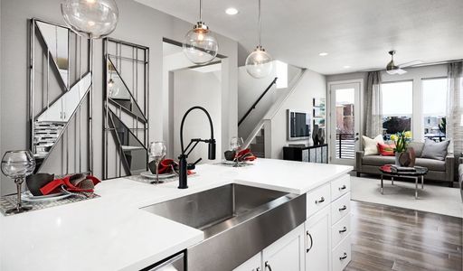 Urban Collection at Looking Glass by Richmond American Homes in Parker - photo 15 15