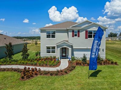 Oak Pointe by D.R. Horton in Apopka - photo 20 20