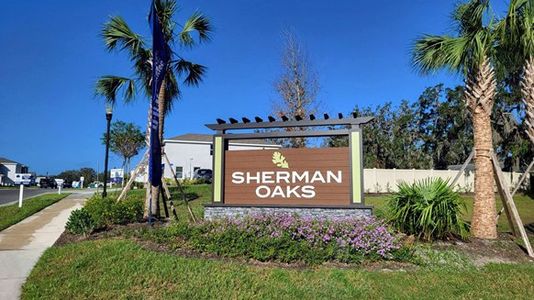 Sherman Oaks by D.R. Horton in Brooksville - photo 34 34