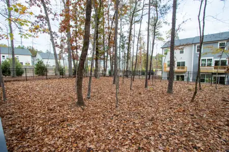 Alston Landing by M/I Homes in Cary - photo 34 34