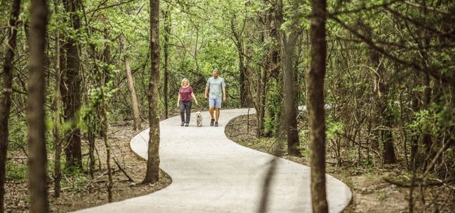 Painted Tree	 - Master planned community in McKinney, TX 17 17