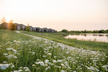 Barefoot Lakes by American Legend Homes in Firestone - photo 24 24