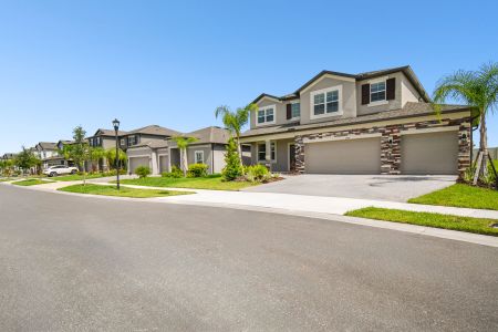 Berry Bay by M/I Homes in Wimauma - photo 30 30