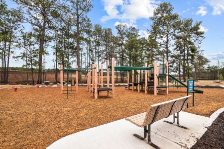 Lone Star Landing by M/I Homes in Montgomery - photo 12 12