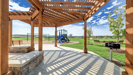 Harrington Trails at The Canopies by D.R. Horton in New Caney - photo 13 13