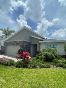 Tradition - Cadence by Mattamy Homes in Port St. Lucie - photo 7 7