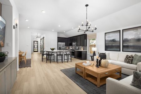 The Highlands 45' by Coventry Homes in Porter - image 18