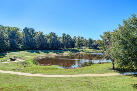 High Meadow Estates by Bethel Homes in Montgomery - photo 6 6