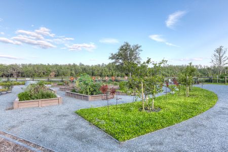 Laureate Park at Lake Nona - Park Series by David Weekley Homes in Orlando - image 13