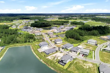 Shortgrass at Two Rivers by M/I Homes in Zephyrhills - image 14