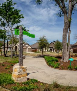 Trinity Falls: Artisan Series - 50' lots by Highland Homes in McKinney - photo 18 18