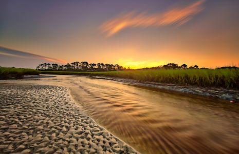 Hawthorn Park at Wildlight by Pulte Homes in Wildlight - photo 6 6