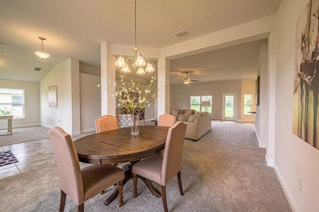 Royal Highlands by Adams Homes in Spring Hill - photo 7 7