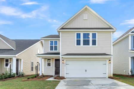 Wildcat Chase by Dream Finders Homes in Summerville - image 8