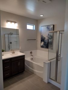 Paradisi Discovery Collection 9