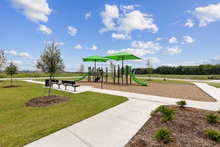 Dove Hollow by Trophy Signature Homes in Waxahachie - photo 10 10