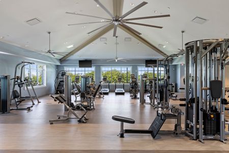 Palmera at Wellen Park by M/I Homes in Venice - image 15