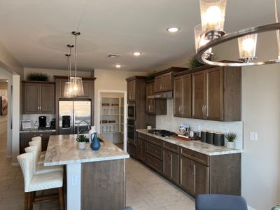 Solvida at Estrella by Landsea Homes in Goodyear - photo 39 39