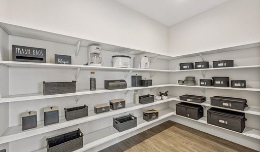 Tanterra by Richmond American Homes in Parker - image 6