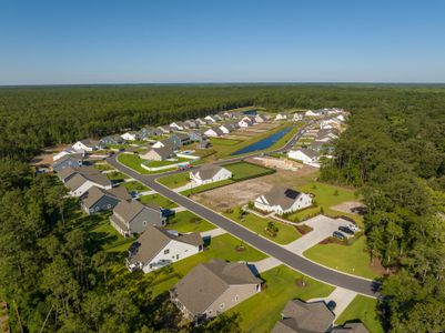 Northbrook by Beazer Homes in Murrells Inlet - image