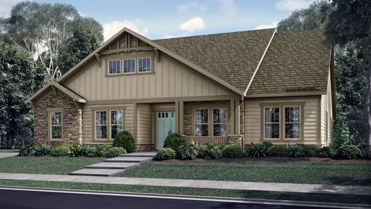 Masons Bend by DRB Homes in Fort Mill - image