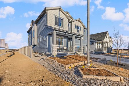 Farmstead by Dream Finders Homes in Berthoud - image 4