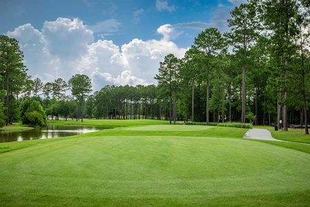 Linwood Estates by Ryan Homes in Lexington - image 12