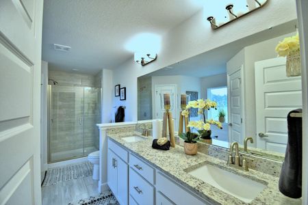 Cadence Crossing by Adams Homes in Auburndale - photo 10 10