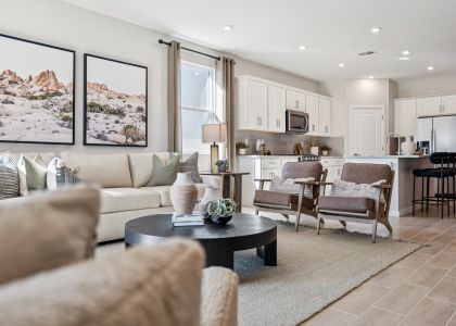 The Vistas Collection at Skyline Village 4