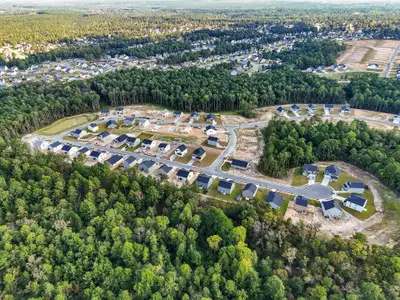 Creekside Oaks North by Dream Finders Homes in Lillington - image