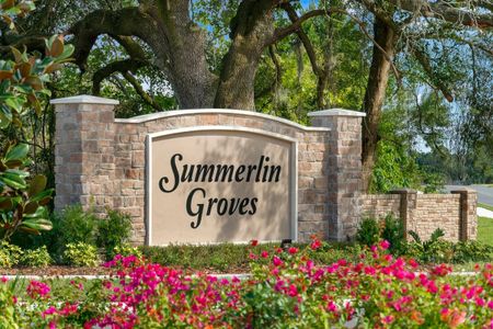 Summerlin Groves by KB Home in Haines City - photo 22 22