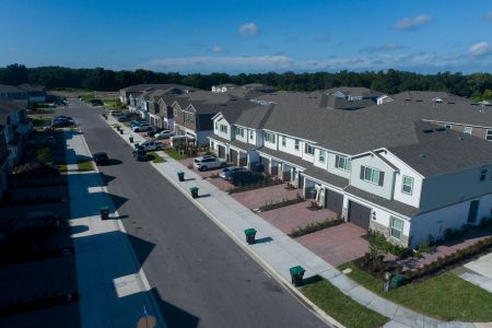 Tyson Ranch by M/I Homes in Orlando - photo 8 8