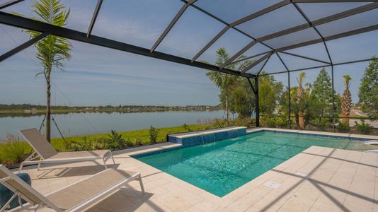 The Alcove at Waterside by Neal Signature Homes in Sarasota - photo 10 10