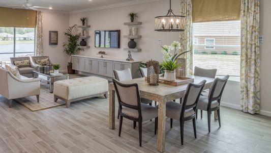 SilverLeaf: Silver Falls 50s at SilverLeaf by Lennar in St. Augustine - photo 16 16