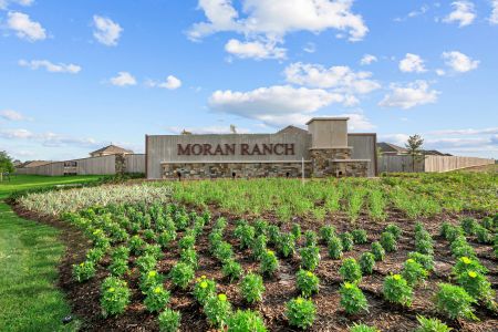 Moran Ranch by M/I Homes in Willis - photo 5 5