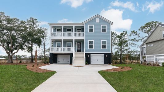 Briley Pointe by DRB Homes in Mount Pleasant - photo 3 3