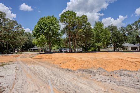 Doyle Hawkins Landing by Herbst Homes in Navarre - image 20