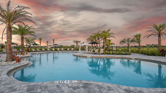 Park East at Azario by Taylor Morrison in Lakewood Ranch - photo 7 7